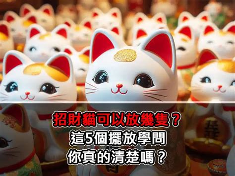 招財貓可以放幾隻|【招財貓可以放幾隻？日本送禮習俗大揭密】 